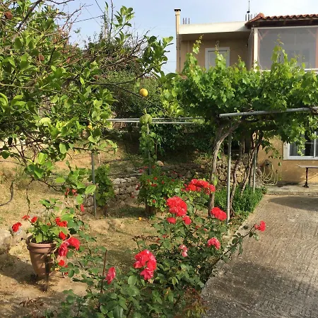 Physis Estate *